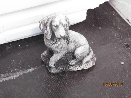Springer spaniel concrete - spaniel, (concrete