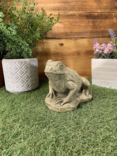 Stone garden frog toad - garden, frog/toad