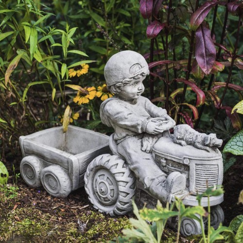 Boy dog tractor - boy,