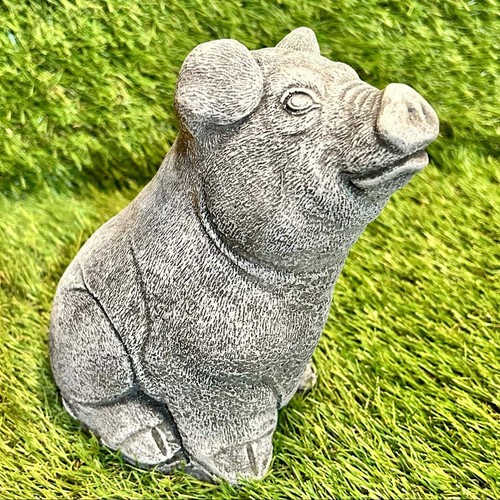 Concrete sitting pig - pig, outdoor